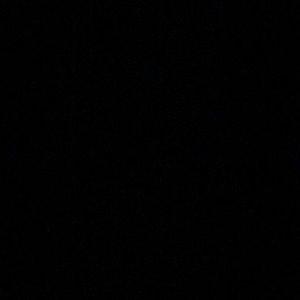 Meet your Posher, Noah